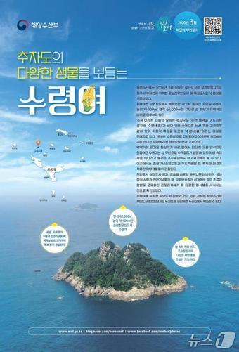 본문 이미지 - (해양수산부 제공)