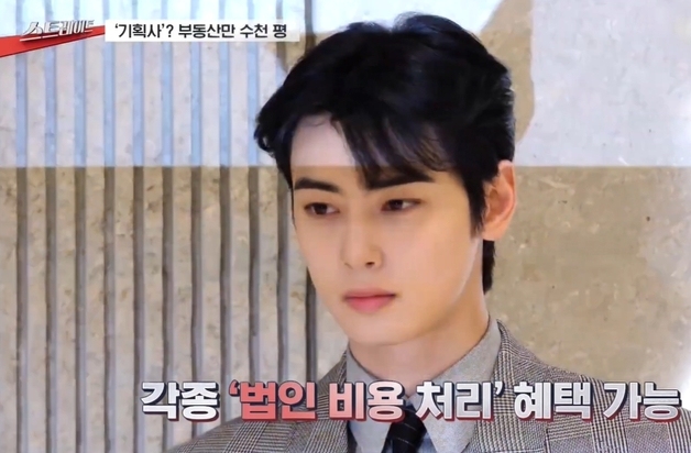 '절세 미남?' 차은우, 축구장 3개 규모 부동산 쇼핑…"연예계 최악 탈세"