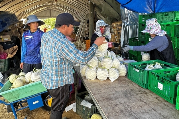 진천군, 외국인근로자 숙련기능인력 비자 전환 수수료 전액 지원