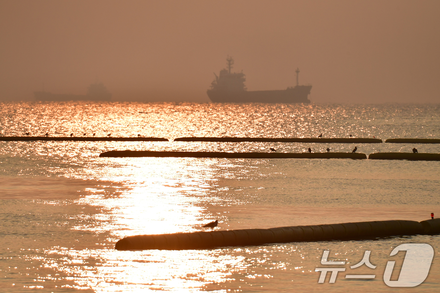 (포항=뉴스1) 최창호 기자 = 10일 오전 경북 포항시 북구 영일대해수욕장 앞 바다 수면 위로 아침 햇살이 내려쬐고 있다.  2026.3.10/뉴스1