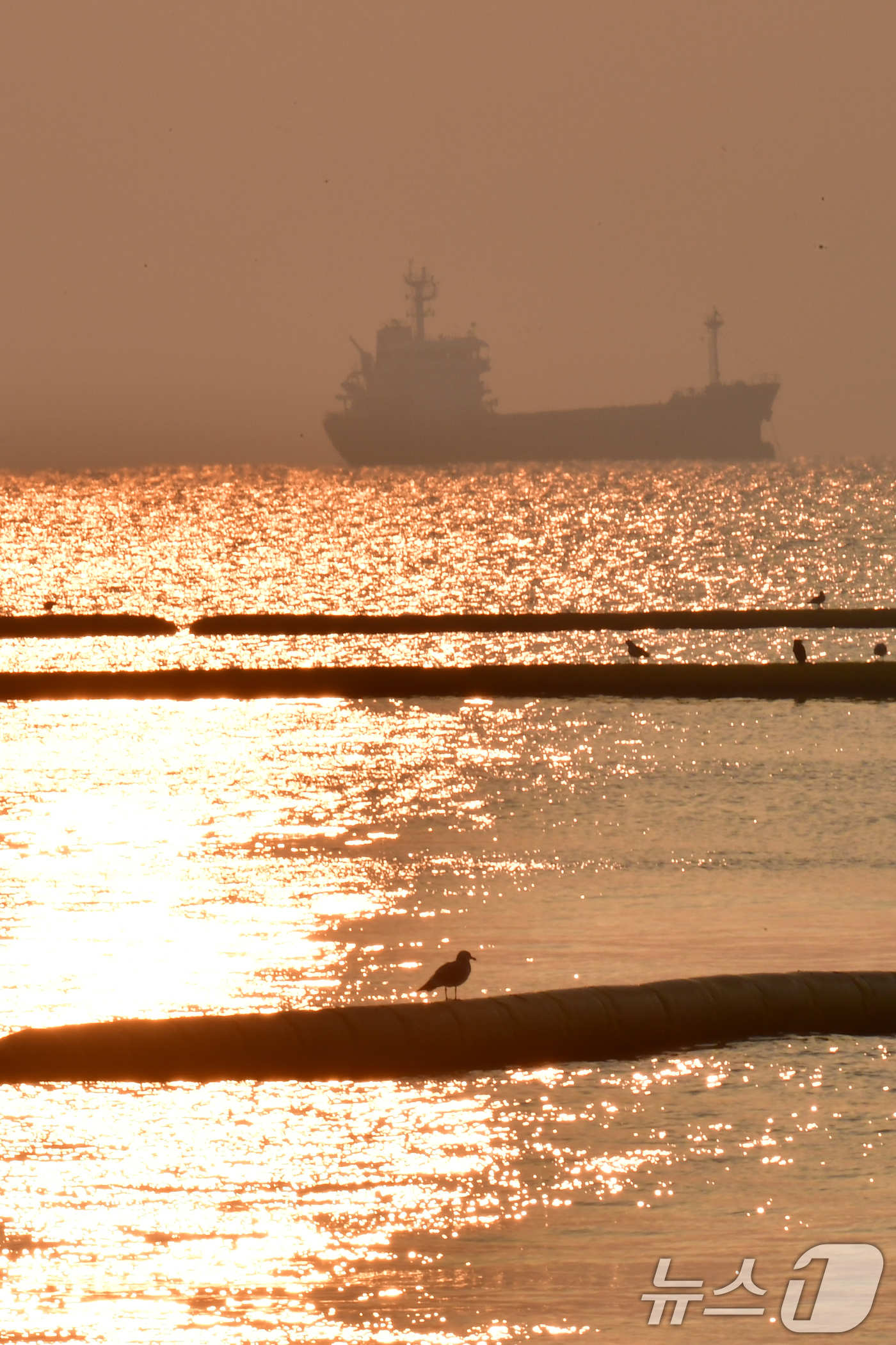 (포항=뉴스1) 최창호 기자 = 10일 오전 경북 포항시 북구 영일대해수욕장 앞 바다 수면 위로 아침 햇살이 내려쬐고 있다. 2026.3.10/뉴스1