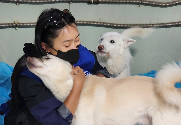 효린 보자 좋아서 꼬리 흔든 보호견들…내추럴발란스 사료 후원도