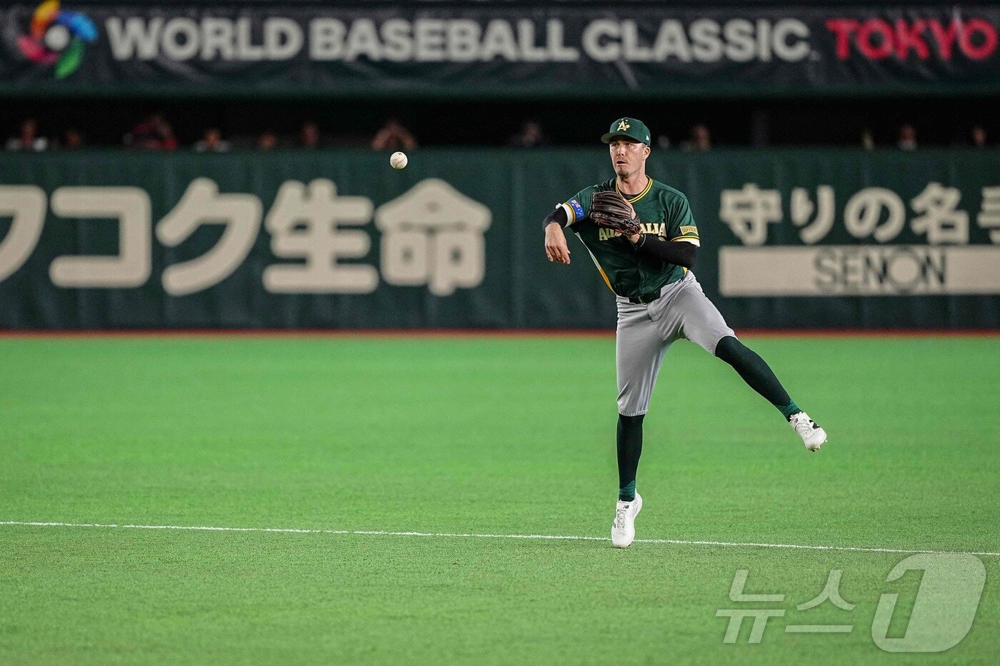 본문 이미지 - 호주 대표팀 제리드 데일. ⓒ AFP=뉴스1
