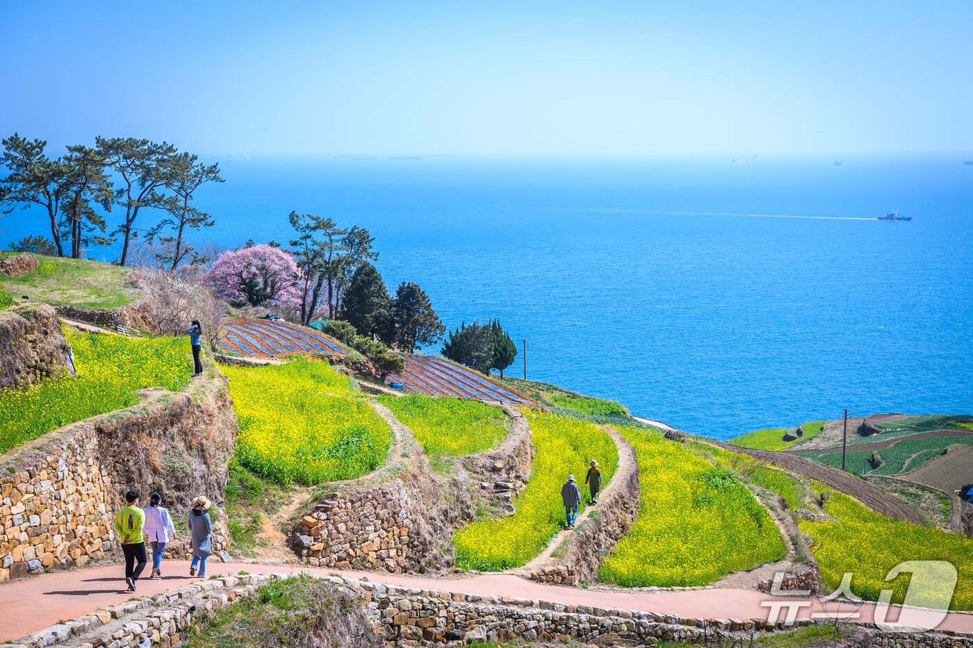 본문 이미지 - 남해군 다랭이마을(남해군 제공. 재판매 및 DB금지).
