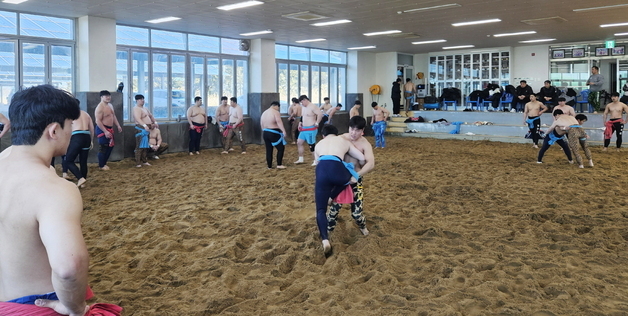 태안군, 씨름 전지훈련 유치로 지역경제·경기력 '두 마리 토끼'