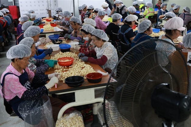 충북도 '일하는 밥퍼' 노인 자살예방 선도사례 선정