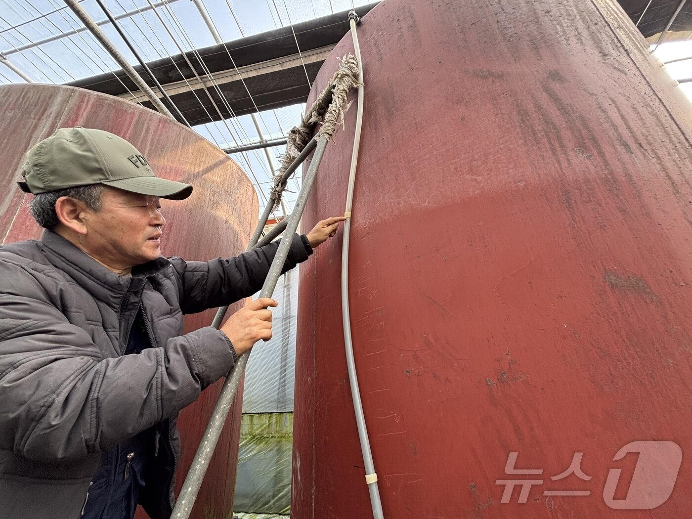 본문 이미지 - 10일 오전 제주 서귀포시 남원읍 태흥리 소재 감귤 과수원에서 강성훈 씨(63)가 등유를 사용하는 가온 재배 방식을 설명하고 있다.2026.3.10 ⓒ 뉴스1 홍수영 기자