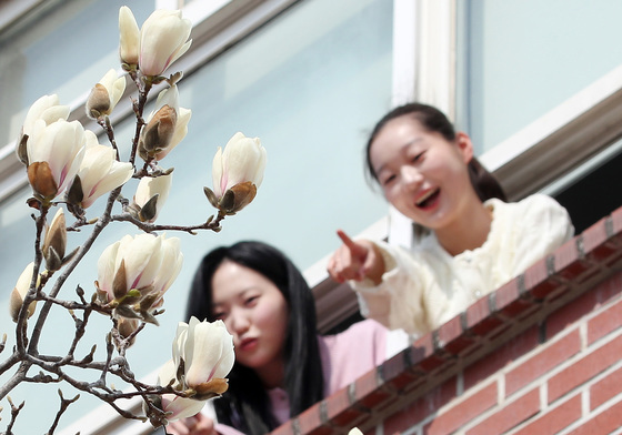진짜 봄이 왔나 '봄'