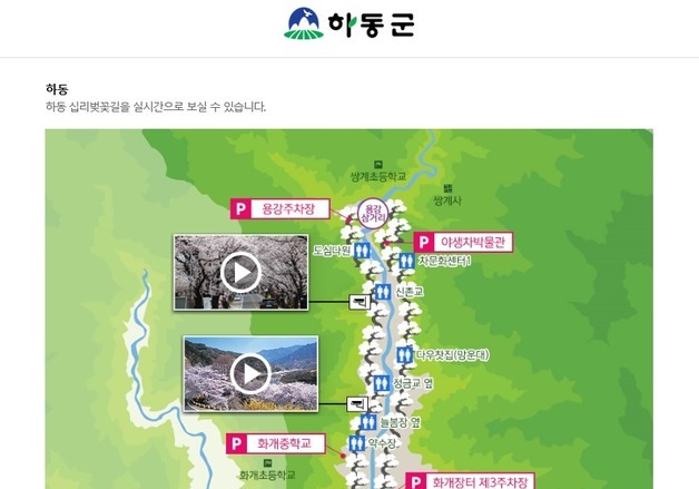 하동군, 벚꽃 명소 개화 상황 실시간 확인 서비스 제공