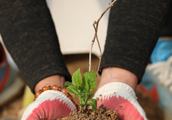 내일은 흙의 날