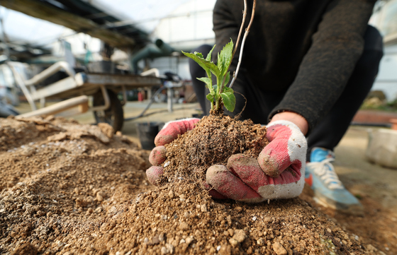 하루 앞으로 다가온 흙의 날
