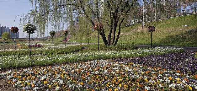 [오늘의 날씨] 충북·세종(11일, 수)…낮 10~11도