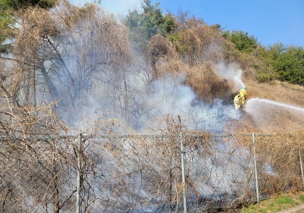 함안 남해고속도 칠서IC 인근 갓길서 불…1시간여 만에 진화
