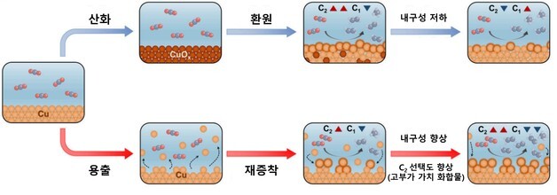 이산화탄소 전환 혁신…스스로 회복하는 '자가 재생' 촉매 개발