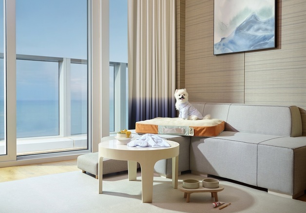 반려견도 호텔 침대에서 잔다…시그니엘 부산, 펫캉스 혜택 키웠다