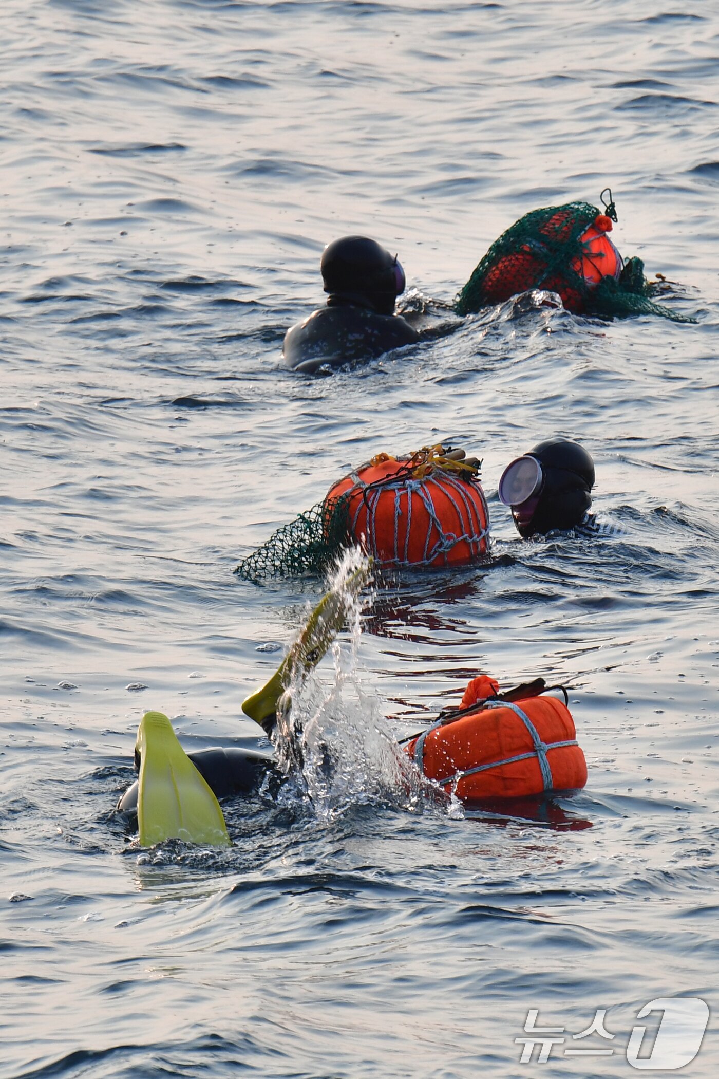 본문 이미지 - 동해안에서 물질하는 해녀들 모습.(뉴스1 자료, 재판매 및 DB금지) 2026.4.9 ⓒ 뉴스1 최창호 기자