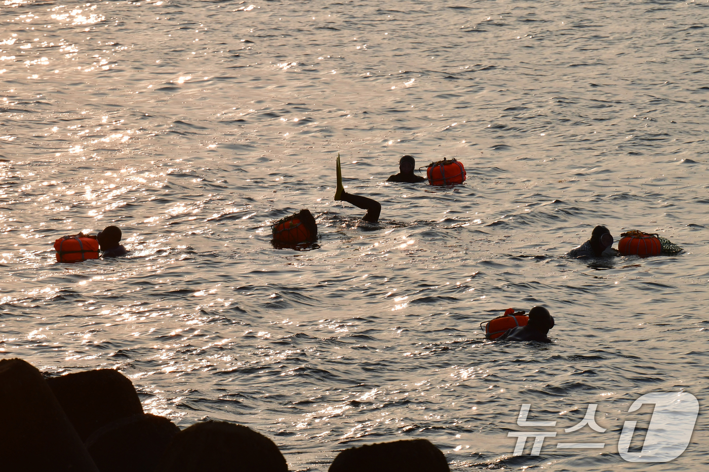 (포항=뉴스1) 최창호 기자 = 11일 오전 경북 포항시 북구 환여동 해안에서 해녀들이 아침 조업을 하고 있다. 2026.3.11/뉴스1