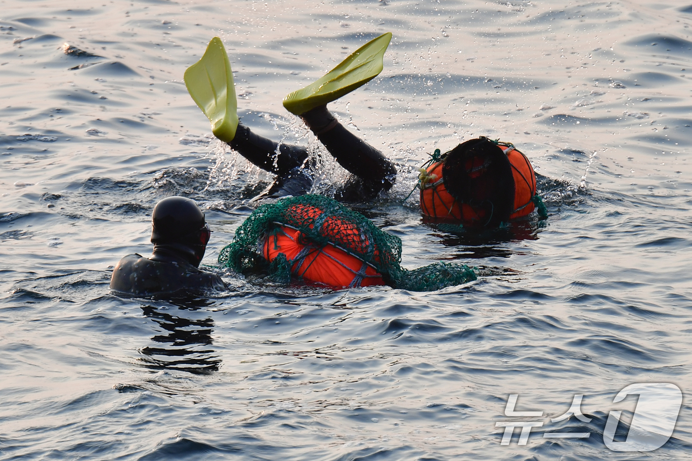 (포항=뉴스1) 최창호 기자 = 11일 오전 경북 포항시 북구 환여동 해안에서 해녀들이 아침 조업을 하고 있다. 2026.3.11/뉴스1