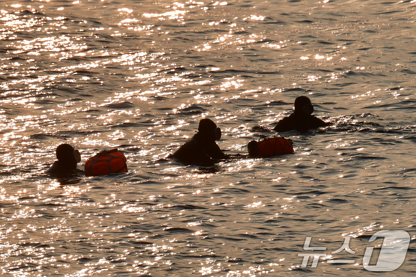 (포항=뉴스1) 최창호 기자 = 11일 오전 경북 포항시 북구 환여동 해안에서 해녀들이 아침 조업을 하고 있다. 2026.3.11/뉴스1