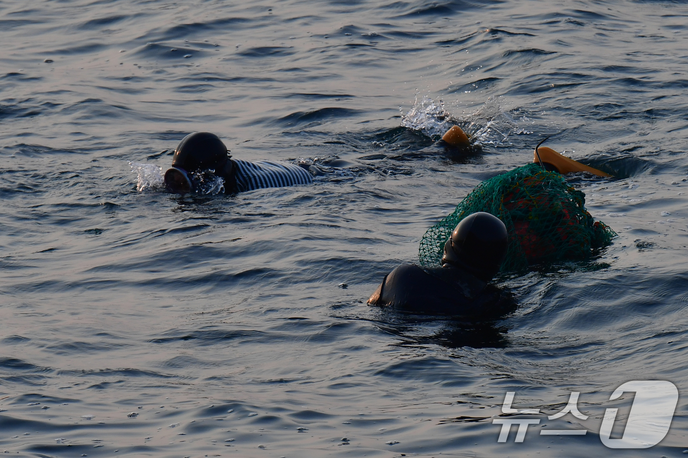 (포항=뉴스1) 최창호 기자 = 11일 오전 경북 포항시 북구 환여동 해안에서 해녀들이 아침 조업을 하고 있다. 2026.3.11/뉴스1