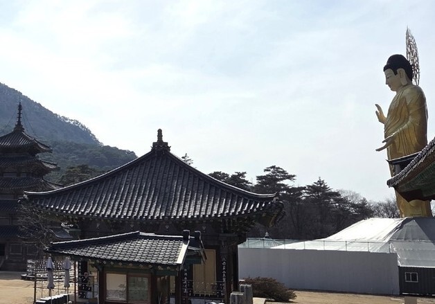 보은 법주사 미륵전 정비 지연…탐방객 '불편'