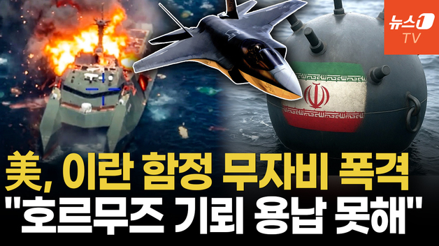 [영상] 이란, 호르무즈에 기뢰 깔았다…美 "기뢰 부설함 16척 완파"