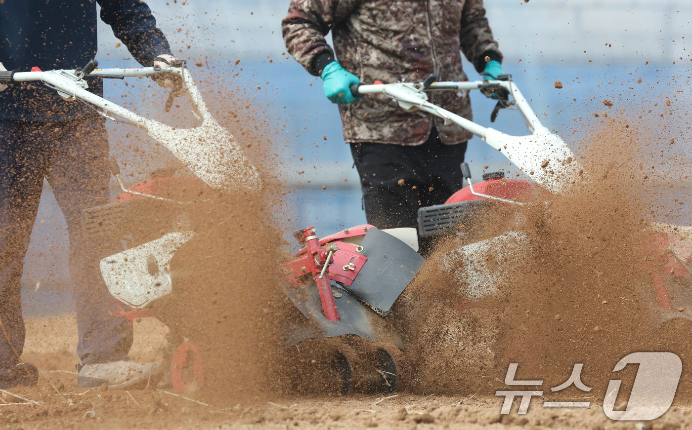 (화성=뉴스1) 김영운 기자 = 제11회 흙의 날인 11일 경기 화성시 경기도농업기술원에서 관계자가 본격적인 영농철을 앞두고 관리기를 이용해 밭을 갈고 있다.흙의 날은 매년 3월 …