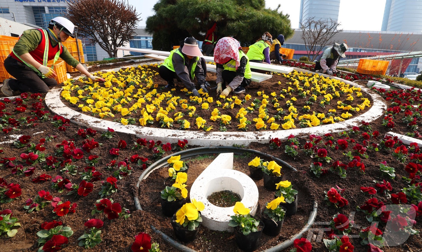 (대전=뉴스1) 김기태 기자 = 11일 대전역 서광장에서 동구청 관계자들이 새봄을 맞아 봄꽃을 식재하고 있다.동구는 랜드마크인 대전역 광장 ‘꽃시계’와 대전복합터미널 주변 등 유동 …