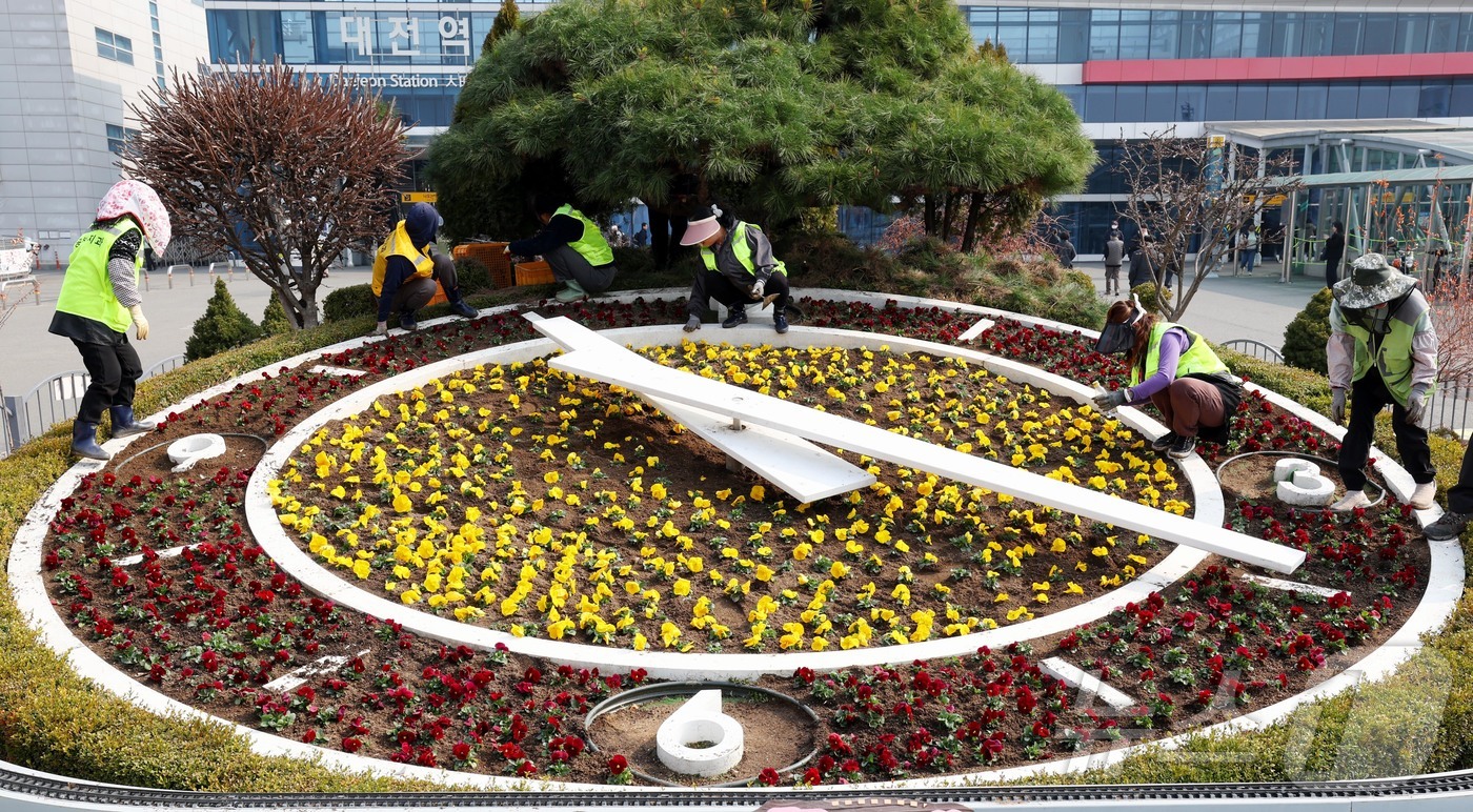 (대전=뉴스1) 김기태 기자 = 11일 대전역 서광장에서 동구청 관계자들이 새봄을 맞아 봄꽃을 식재하고 있다.동구는 랜드마크인 대전역 광장 ‘꽃시계’와 대전복합터미널 주변 등 유동 …