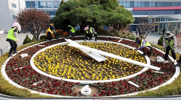 봄 시간이 왔어요