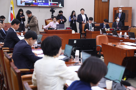 대미투자특별법, 법사위 통과