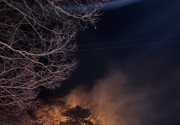 진안군 오천리 인근 야산서 불…1시간 만에 주불 진화