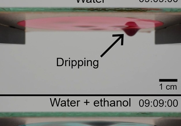 미켈란젤로의 고통, 과학으로 풀었다…카이스트 "천장 액체막 안 떨어지게"