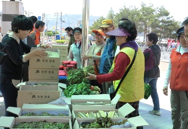 옥천 참옻순 온라인 사전예약 판매…내달 10일까지