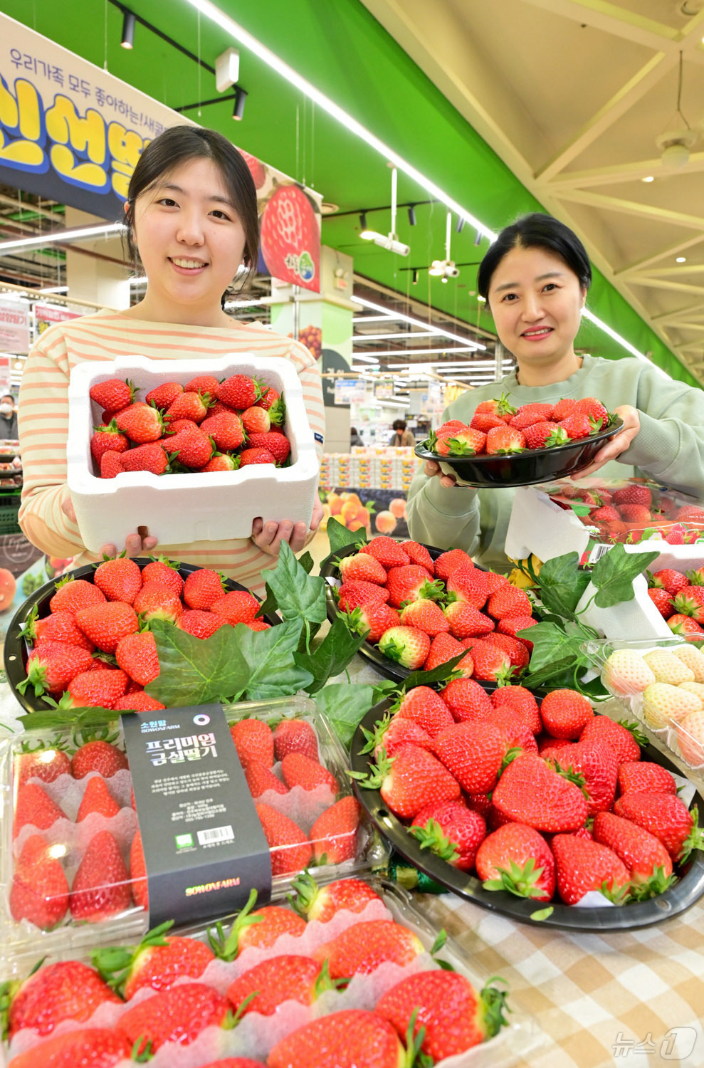 (서울=뉴스1) = 농협유통은 춘분을 일주일 앞둔 12일부터 오는 18일까지 양재·창동 등 농협유통 하나로마트 전 점포에서 딸기 할인 판매 행사를 한다고 밝혔다. 사진은 서울 서초 …