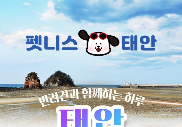 반려견과 버스 타고 태안 여행…'댕댕투어' 뜬다