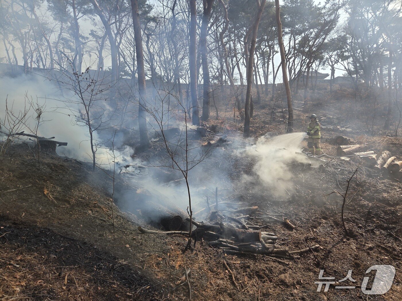 본문 이미지 - 화재 현장. (경기도소방재난본부 제공. 재판매 및 DB금지) 2026.3.12/뉴스1
