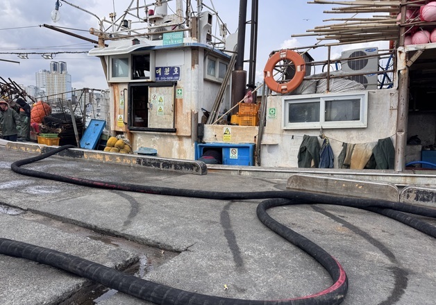 "기름 아끼려 RPM도 낮춰" 어선 면세유 급등 우려에 어민들 '울상'