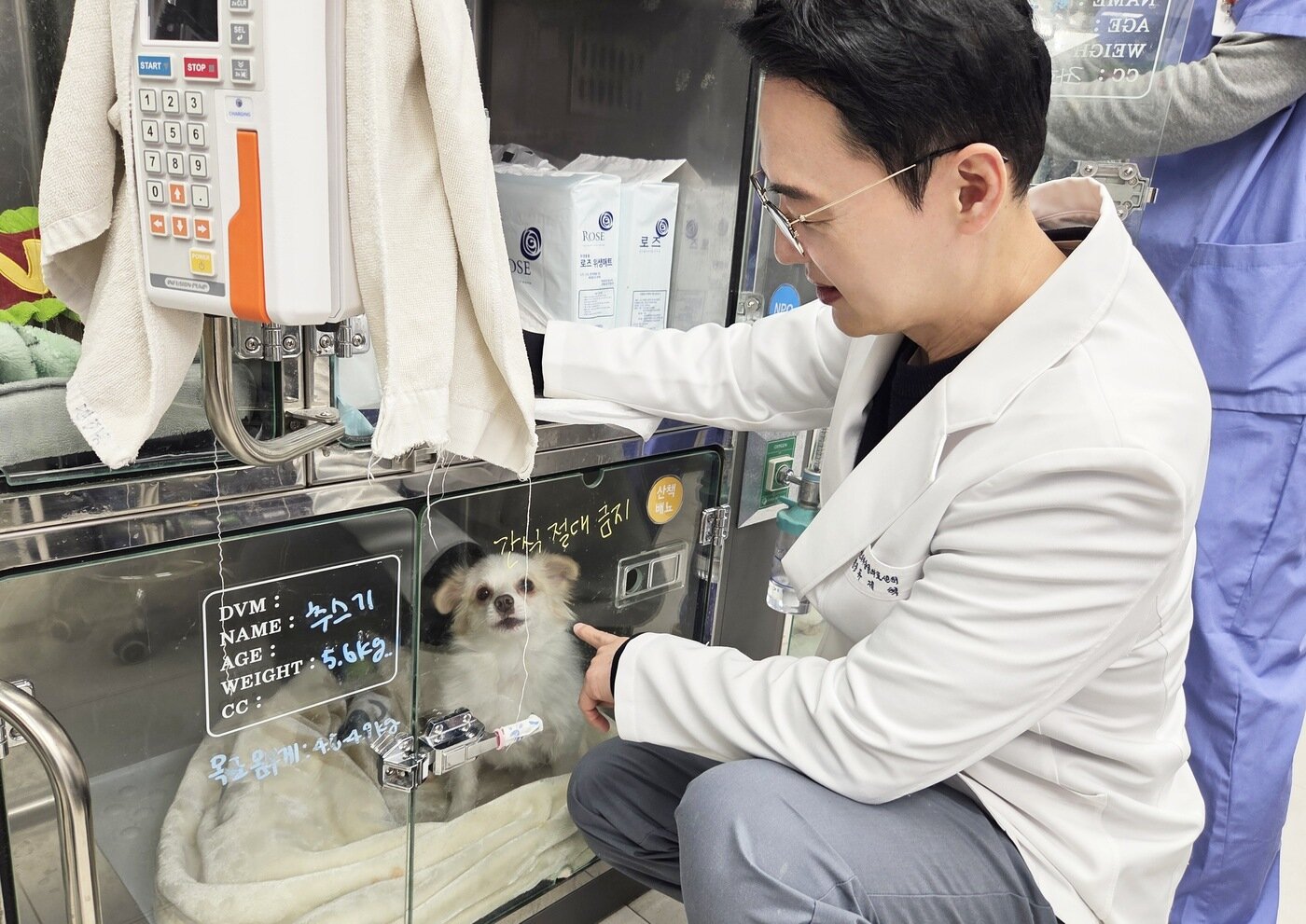 본문 이미지 - 유제혁 원장이 입원한 동물들의 상태를 살펴보고 있다. ⓒ 뉴스1