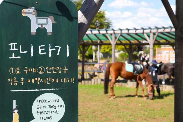 한국마사회, 렛츠런파크 서울 '포니체험' 14일부터 재개