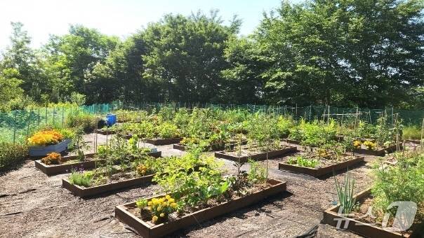 "농업의 소중함 배워요"…전북교육청, 스쿨팜 조성 지원