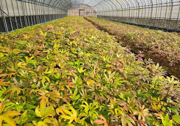 전남산림연구원, 그린바이오 기술개발 공모 4개 과제 선정