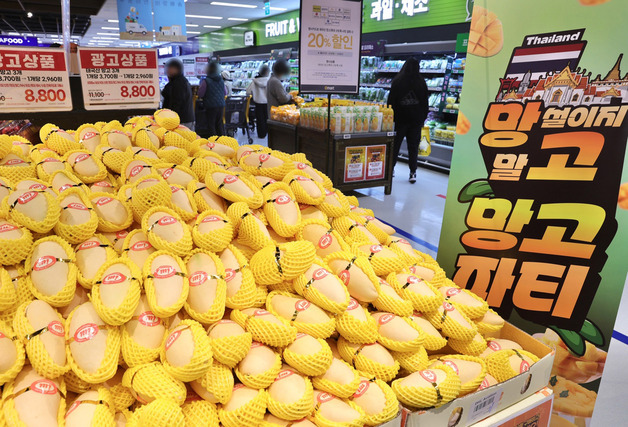 "3월은 망고의 계절"…이마트, 다양한 산지·품종 할인 '망고 파티' 개최