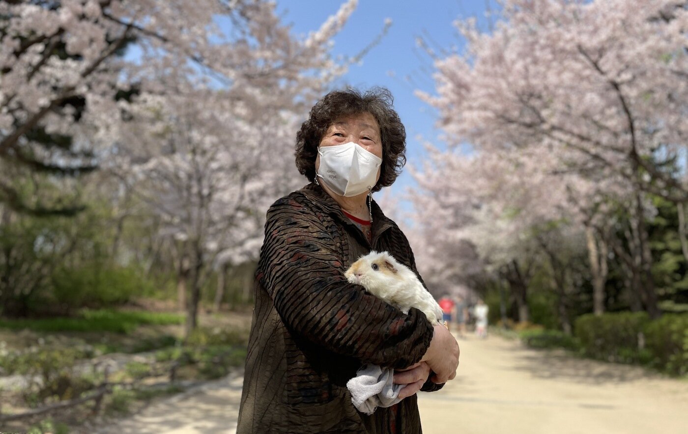 본문 이미지 - 할머니 품에 안겨 산책 나온 아뉴(보호자 제공) ⓒ 뉴스1