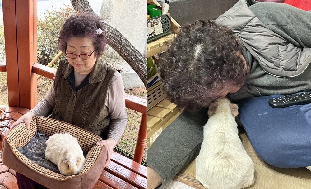 본문 이미지 - 아뉴를 매우 아끼며 돌보시는 할머니(보호자 제공) ⓒ 뉴스1