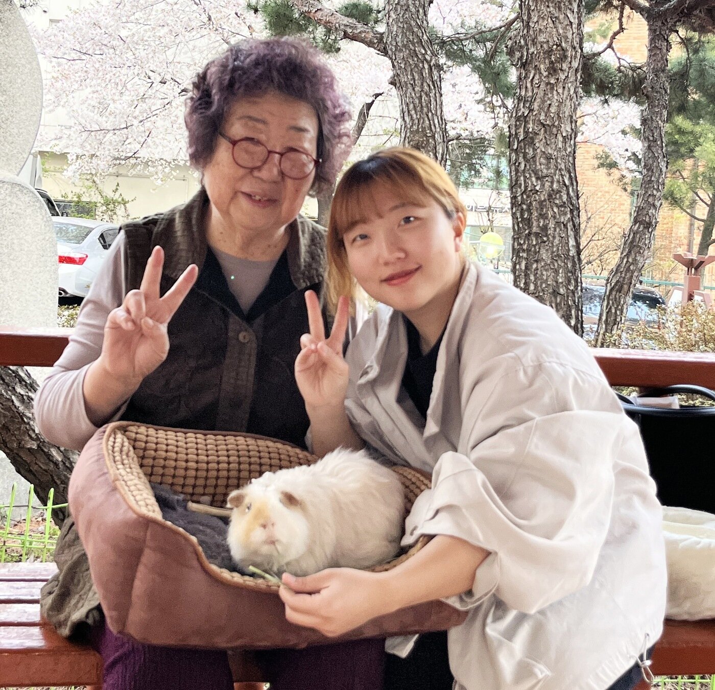 본문 이미지 - 보호자와 할머니가 반려 기니피그 아뉴와 함께 사진을 찍고 있다(보호자 제공). ⓒ 뉴스1