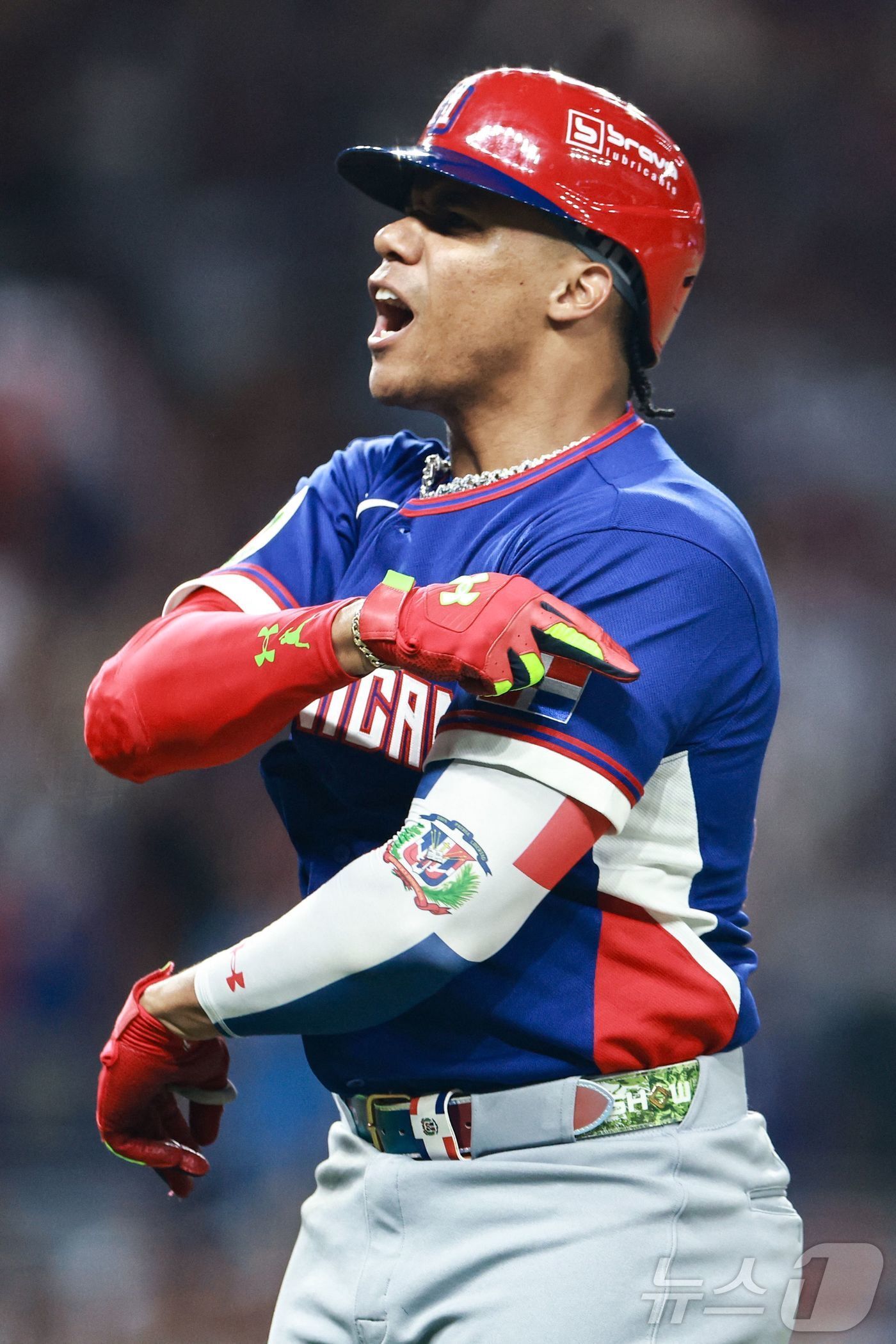 본문 이미지 - 도미니카공화국의 후안 소토. ⓒ AFP=뉴스1