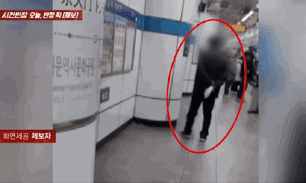 지하철서 샤인머스캣 먹고 껍질 '퉤'…"발로 뭉개면 덜 찔리냐" 성토[영상]