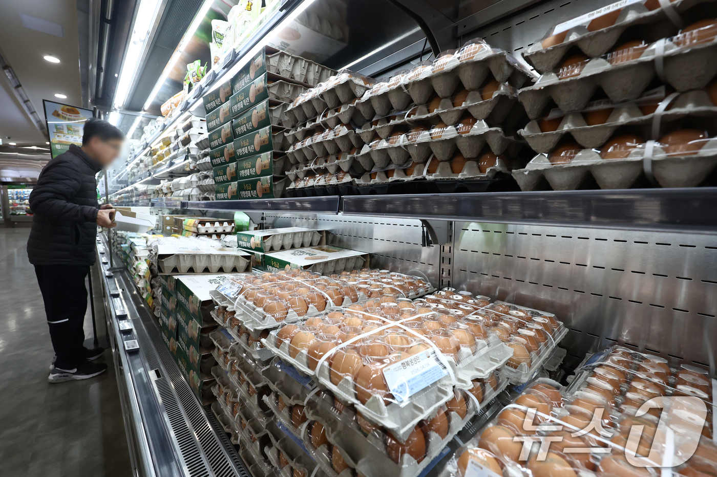 (서울=뉴스1) 김민지 기자 = 고병원성 조류인플루엔자 확산으로 산란계 살처분이 이뤄지면서 계란 한 판(30개) 평균 소비자가격이 다시 7000원대로 올라섰다.13일 축산물품질평가 …