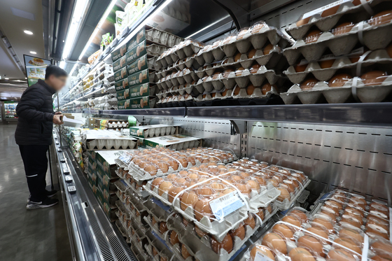 농식품부, 산란계 사육밀도 개선 TF 출범…농가 지원 본격화